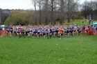 Red start, North East Harrier League.